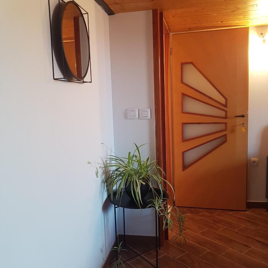Veli Iž Jardin Kapetanova Kuca 아파트 외부 사진