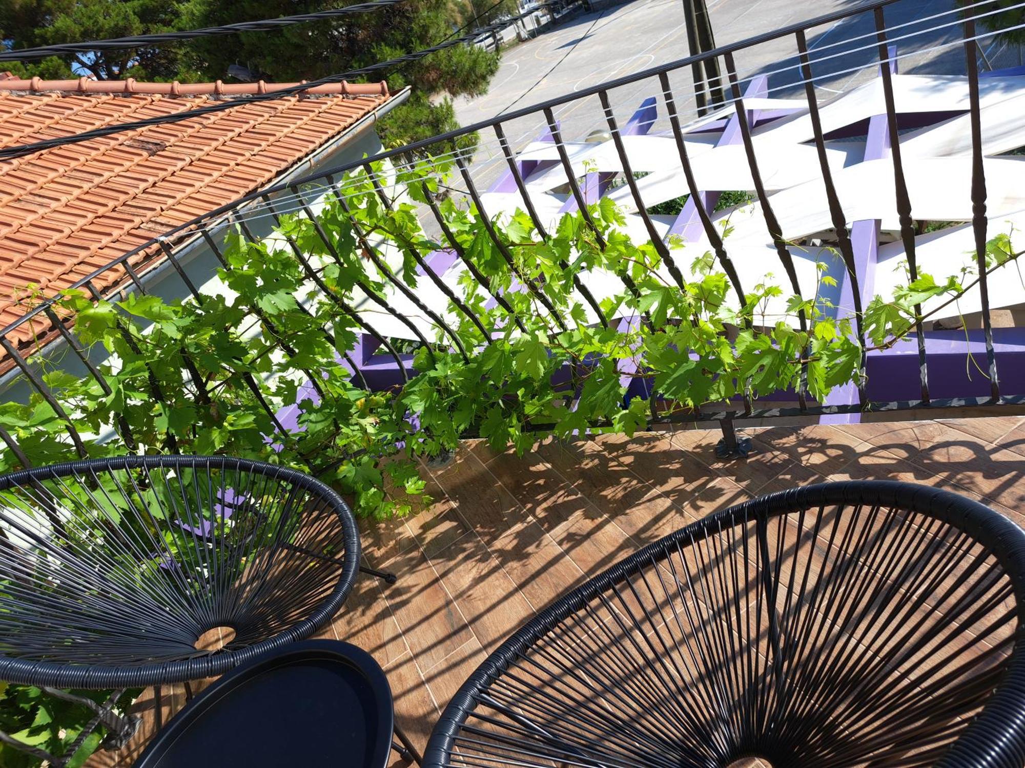 Veli Iž Jardin Kapetanova Kuca 아파트 외부 사진