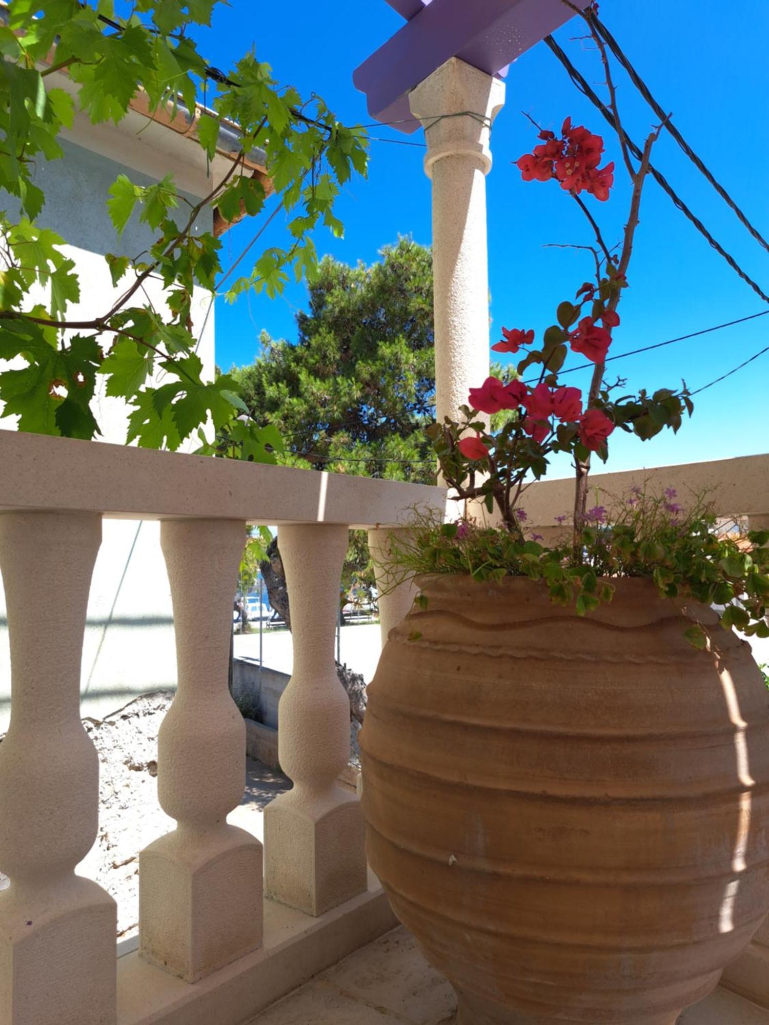 Veli Iž Jardin Kapetanova Kuca 아파트 외부 사진